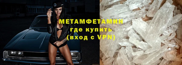 ПСИЛОЦИБИНОВЫЕ ГРИБЫ Вяземский