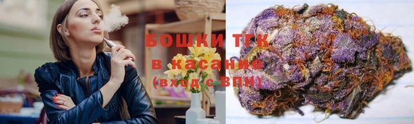 сатива Ступино