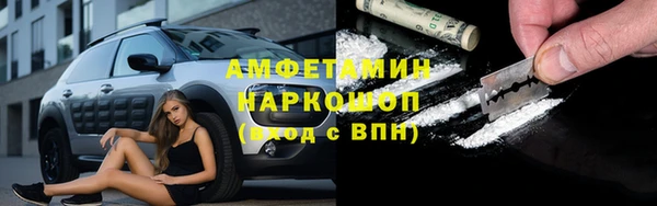 ПСИЛОЦИБИНОВЫЕ ГРИБЫ Вяземский