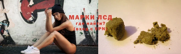 ПСИЛОЦИБИНОВЫЕ ГРИБЫ Вяземский