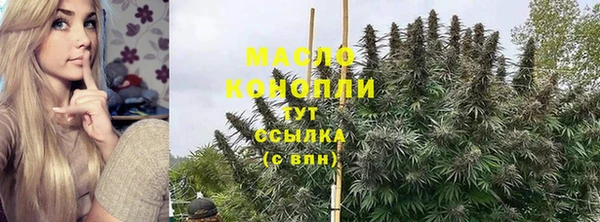 ПСИЛОЦИБИНОВЫЕ ГРИБЫ Вяземский