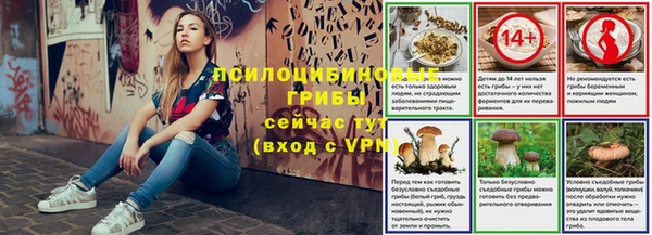 крисы Вязники