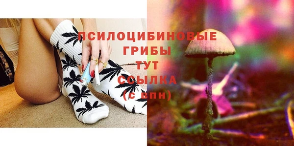 ПСИЛОЦИБИНОВЫЕ ГРИБЫ Вяземский